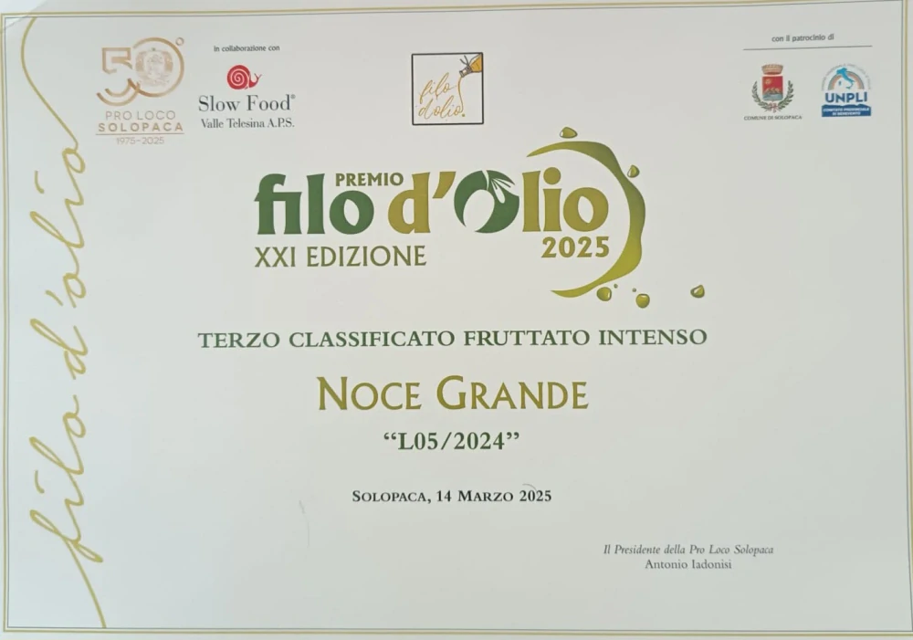 OLIO EXTRAVERGINE DI OLIVA "NOCE GRANDE" 750 ml - filtrovaný